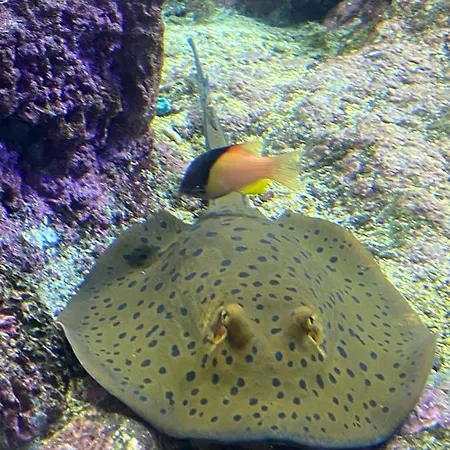 Appartement Il Molo *