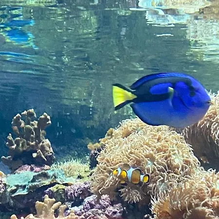 Appartement Il Molo *